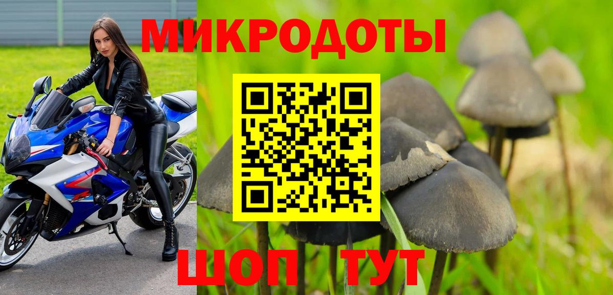 Псилоцибиновые грибы GOLDEN TEACHER  Вход с VPN  продажа наркотиков  Кингисепп 