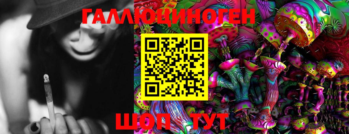 Галлюциногенные грибы Psilocybe Кингисепп